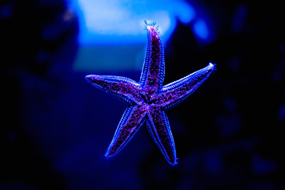 Photograph by Олег