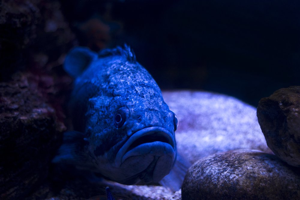 Photograph by Олег