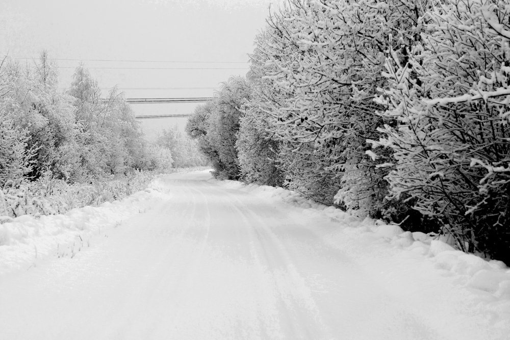 Photograph by Олег