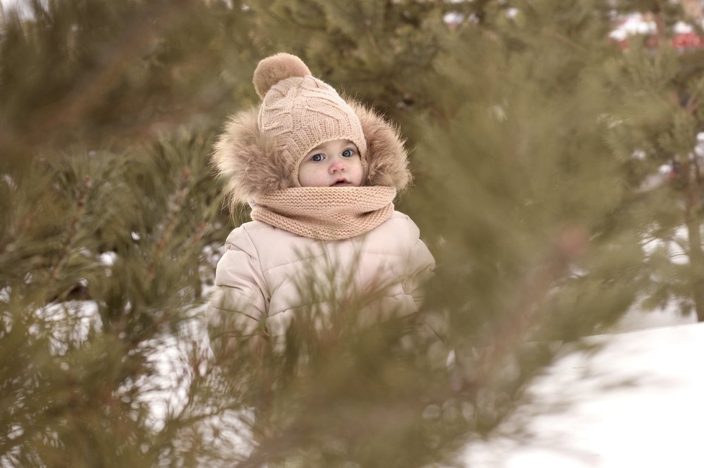 Photograph by 