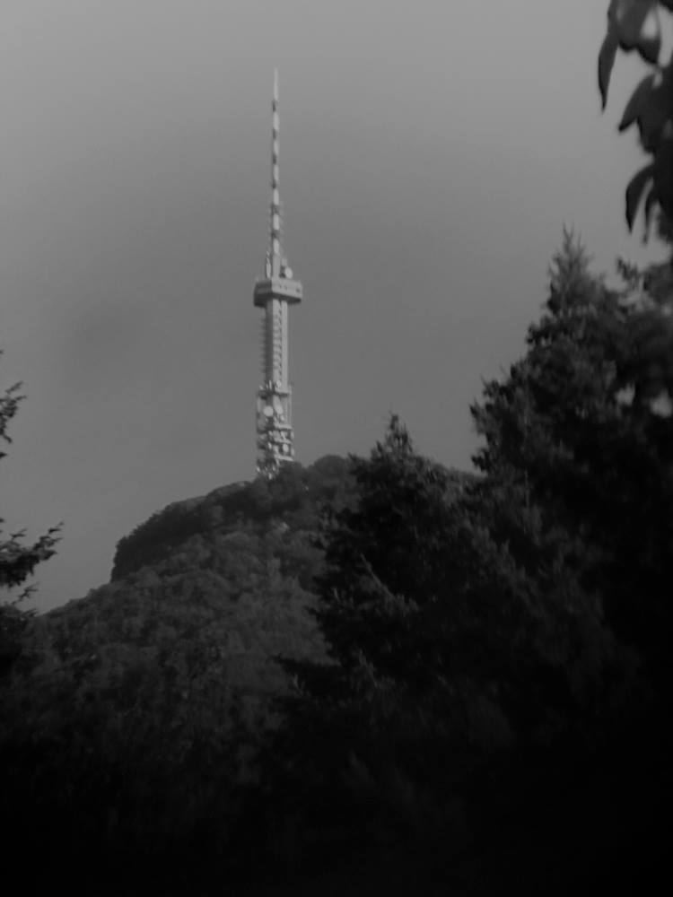 Кулата на Копитото