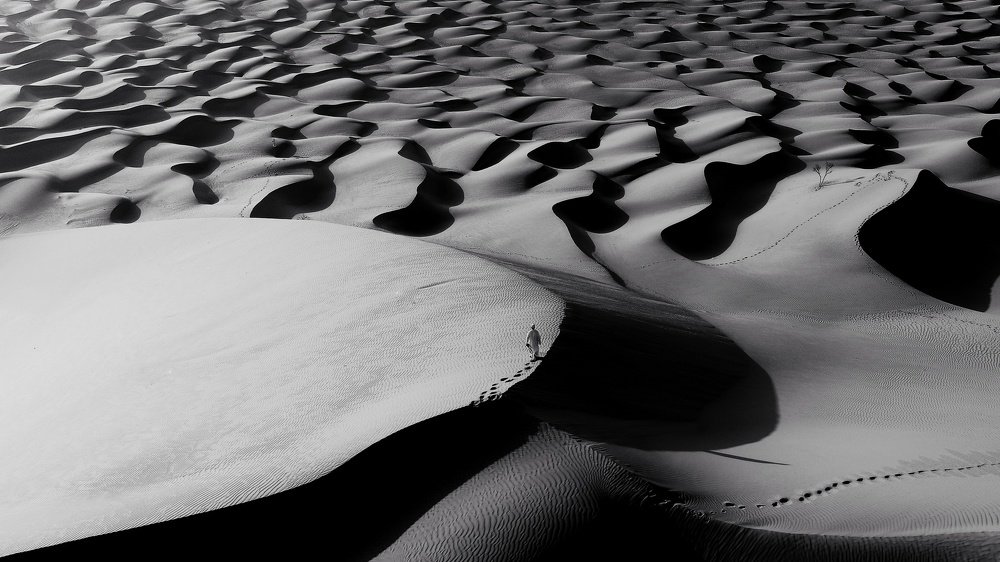 عشق الصحراء