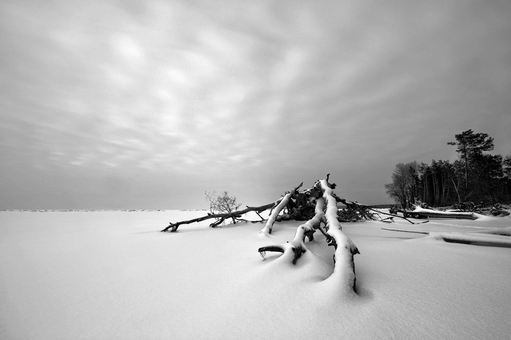 Photograph by Виталий Тимофеев