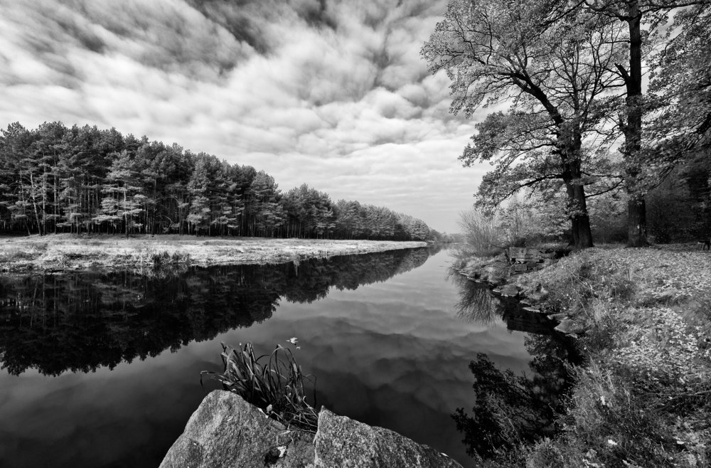 Photograph by Виталий Тимофеев