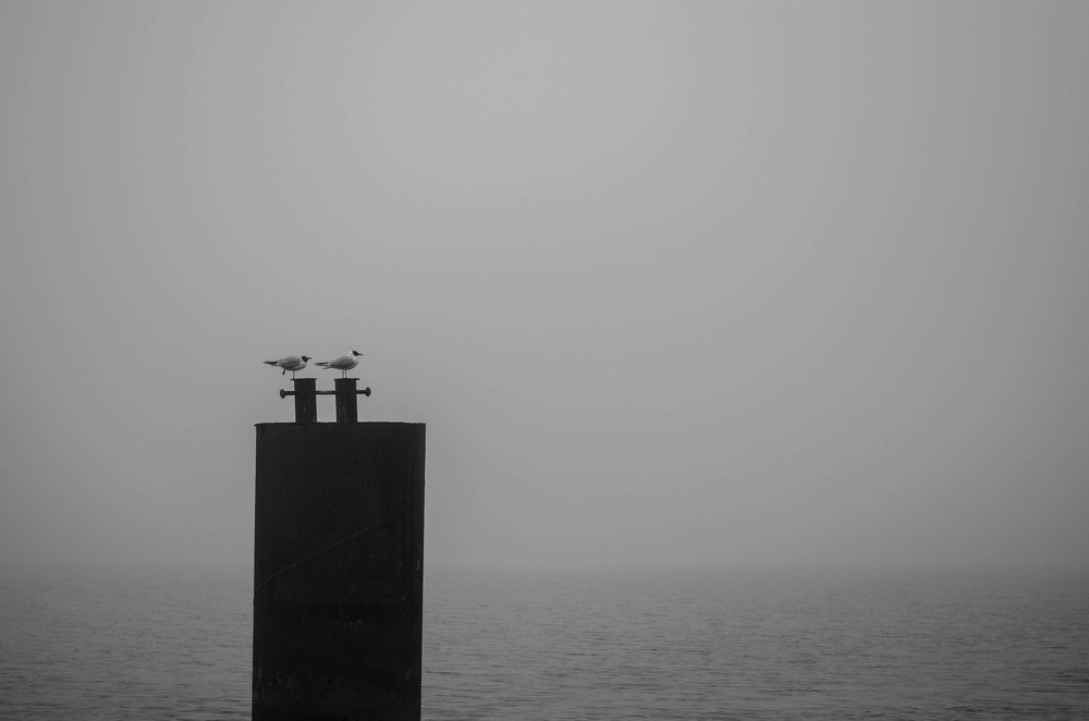 Photograph by Виталия