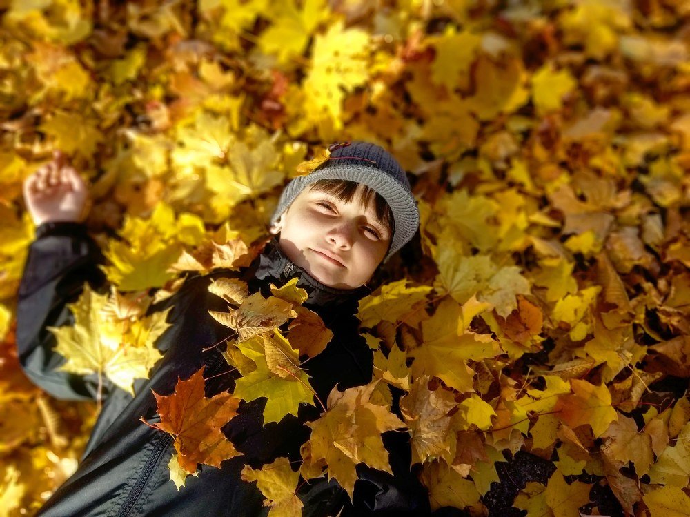 Золотце на золоте.