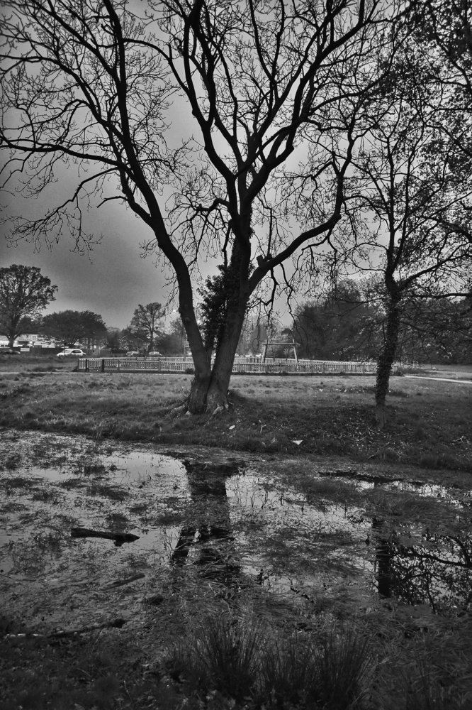 Just for a walk in the park