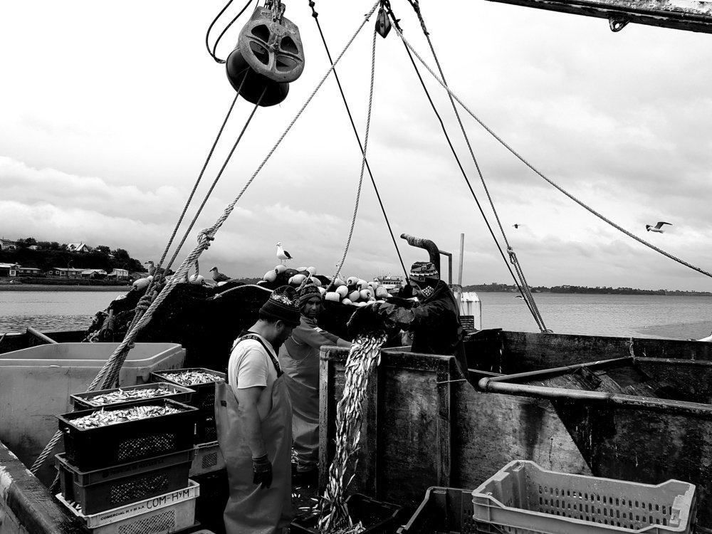 Pescadores de Calbuco