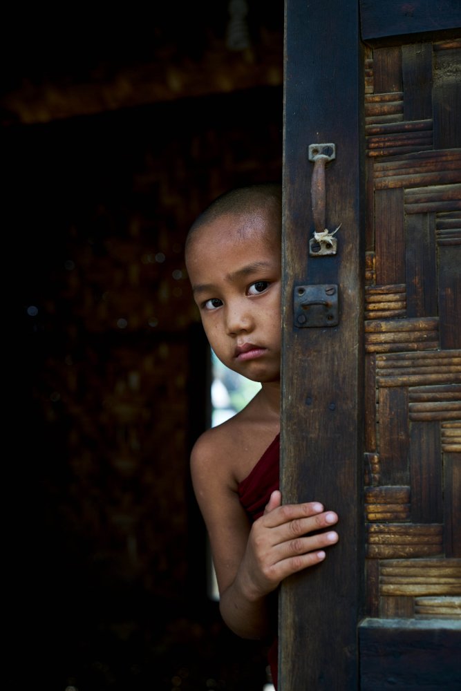 Novice Monk