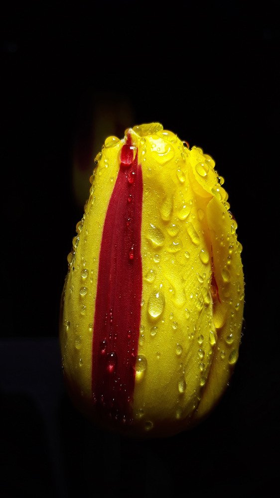 beauty in the dark