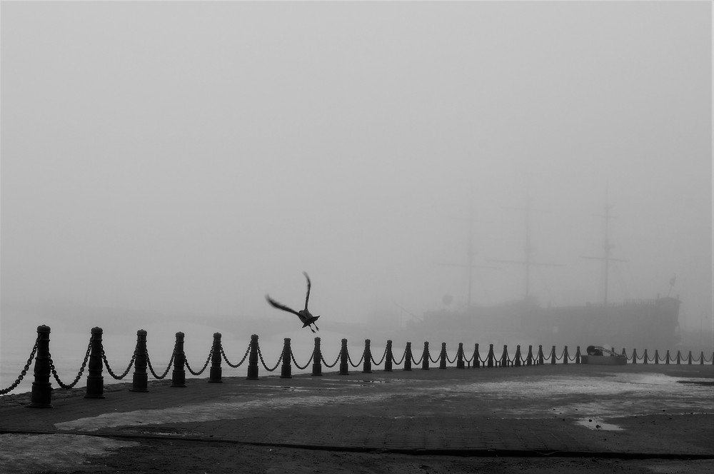 Туманное утро.