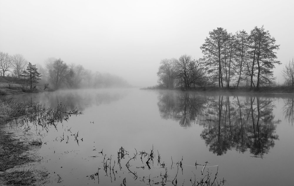 Photograph by Дмитрий Новоселов