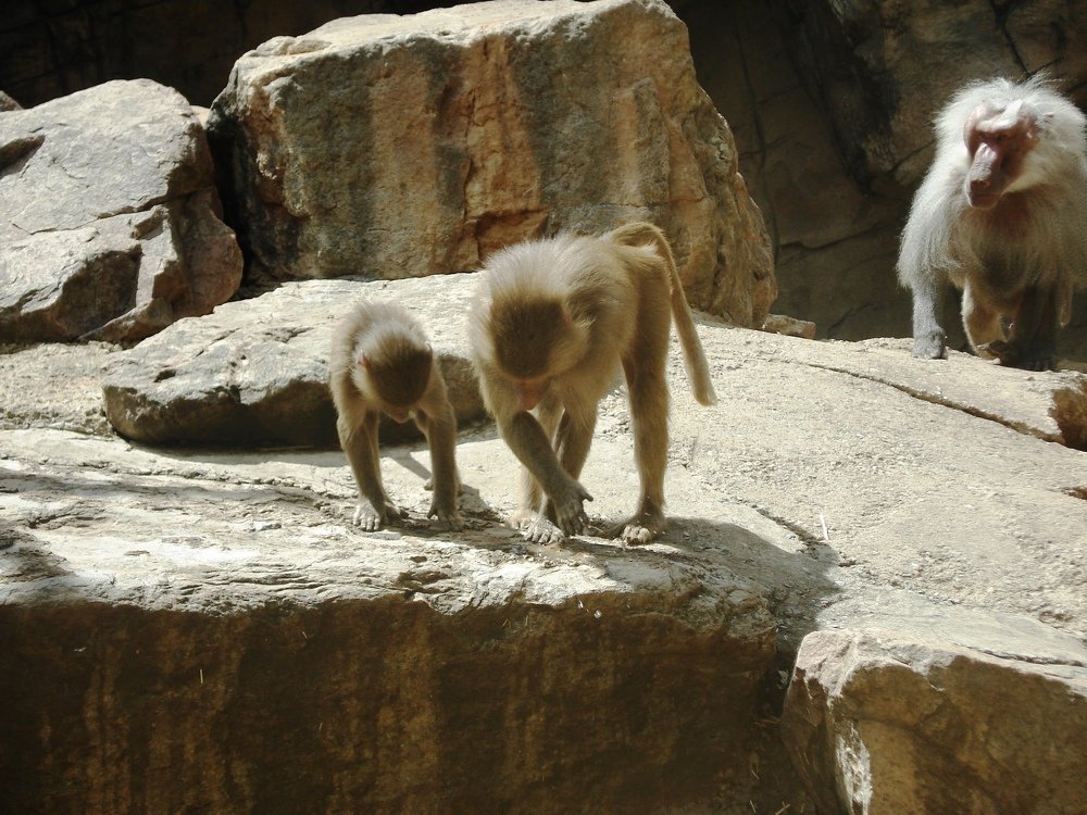 mom teaches to control dad