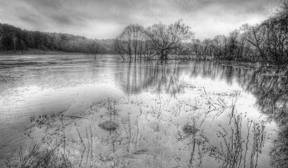 Разлив на реке Ока