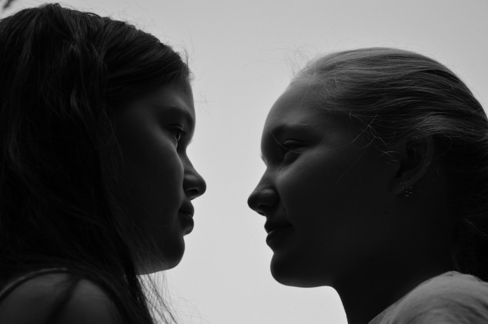 Двойной портрет. "Себя как в зеркале я вижу"