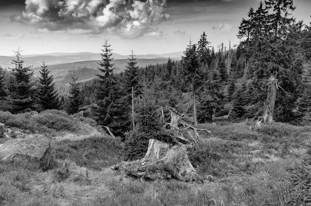 В Исполиновых горах.