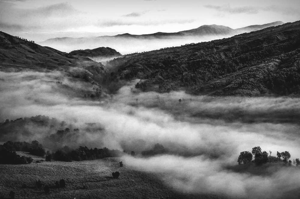 Photograph by Ages ragil