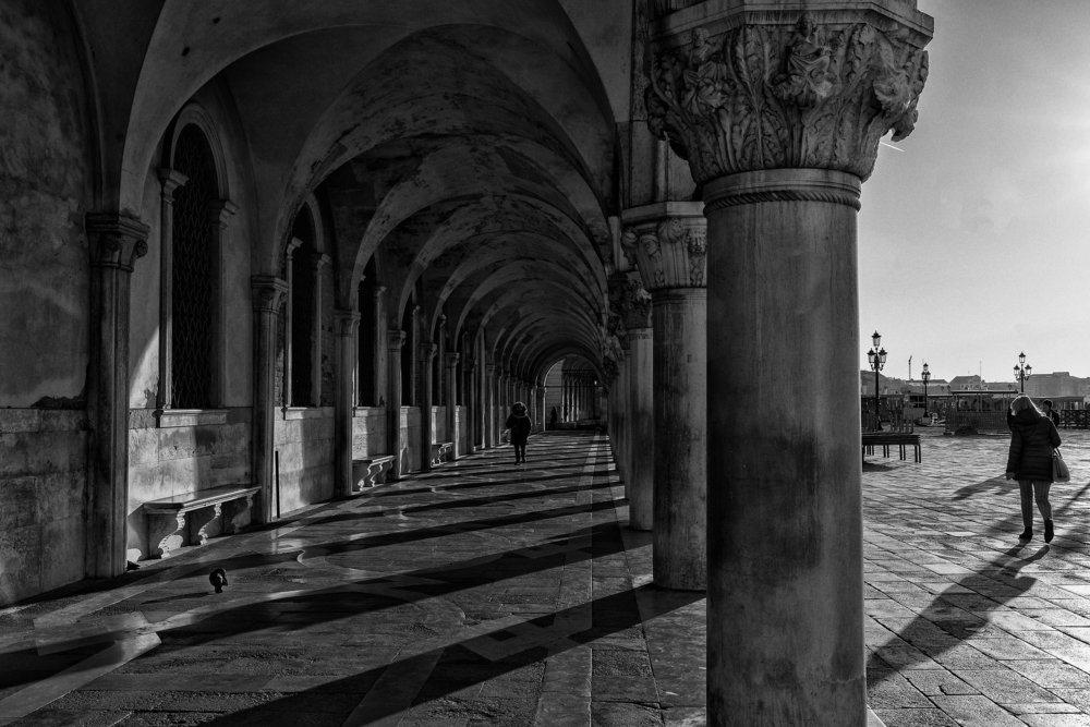 A last look at freedom