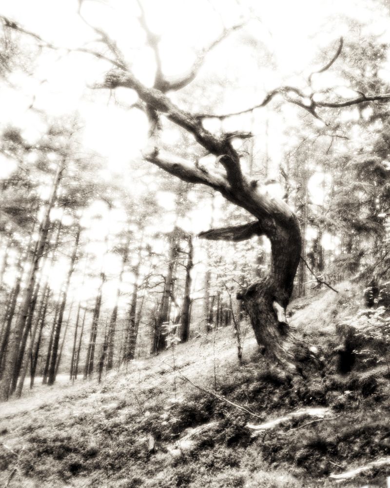 Photograph by Даниил Зандберг