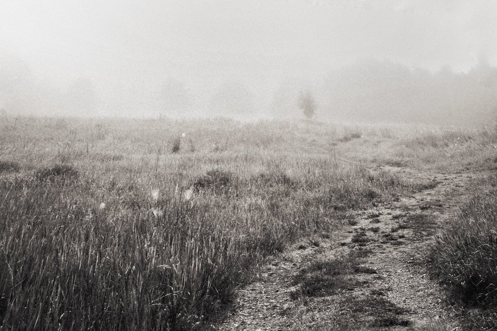 Photograph by Даниил Зандберг