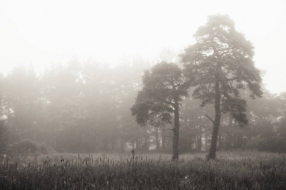 Photograph by Даниил Зандберг