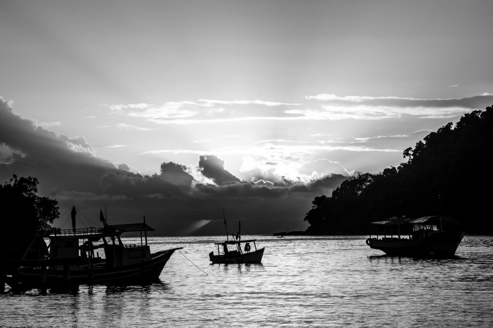 Photograph by ANTHONY NILBER MORAES BARROS Anthony Paz