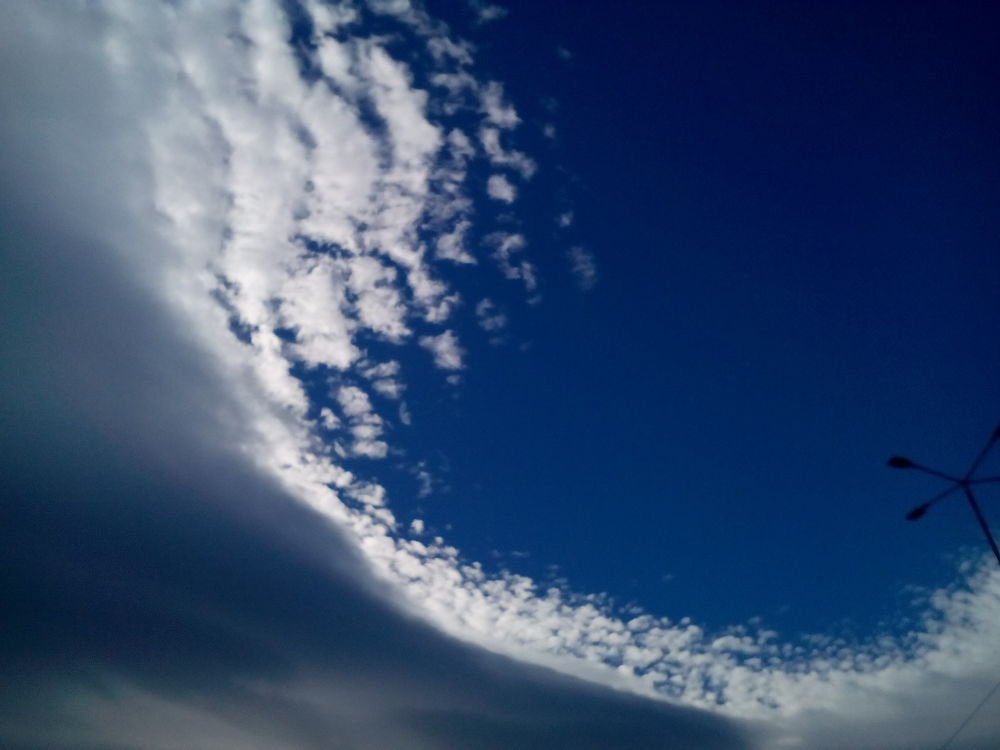 Photo #3153260