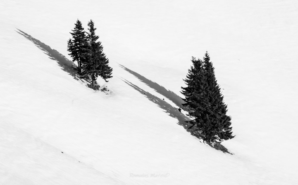 Photograph by Matei Romulus