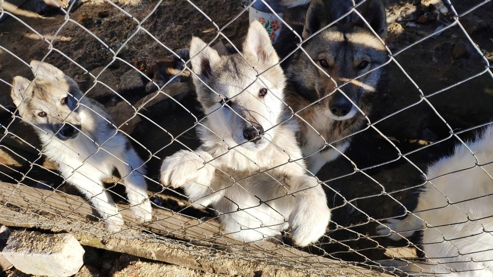 Photograph by Олег Мухачев