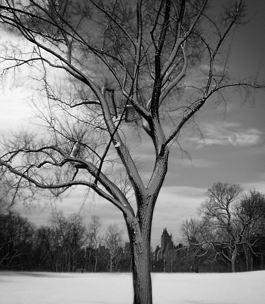Winter