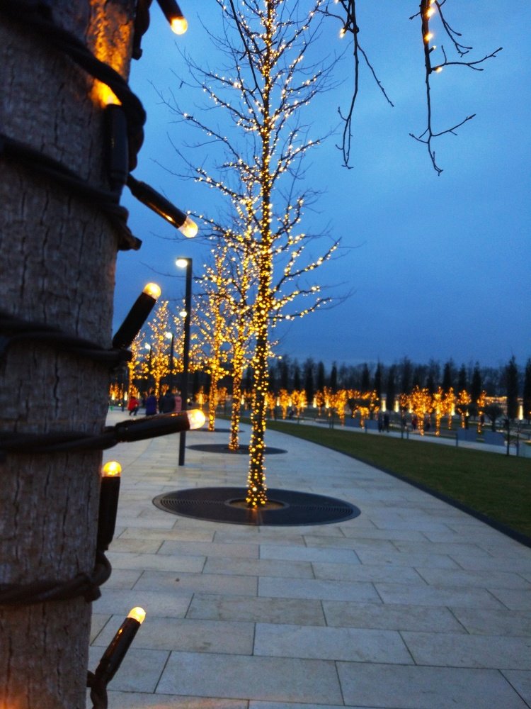 яркая подсветка в парке