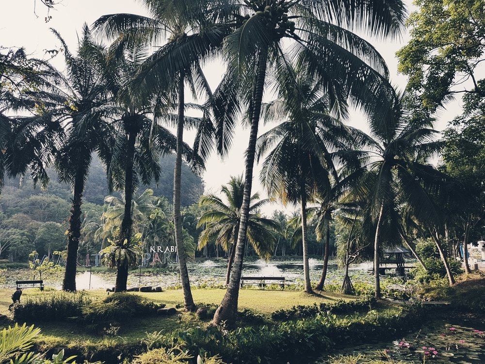 Thailand in the morning