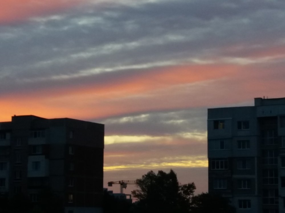 Photograph by mahmoud shihabi moni