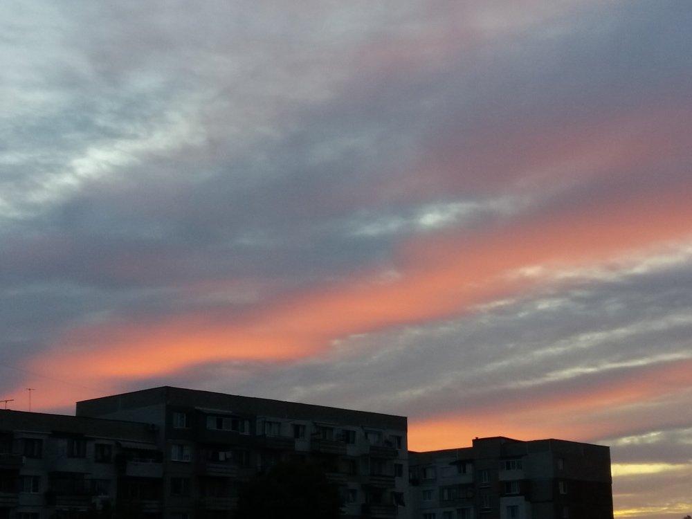 Photograph by mahmoud shihabi moni