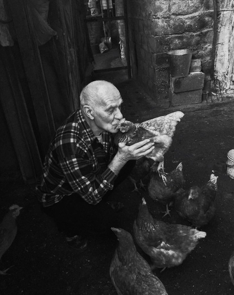 Photograph by Виктория Поднебесная