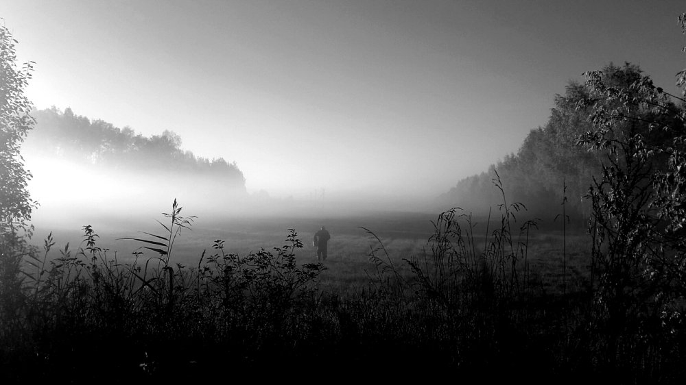 Утренний туман