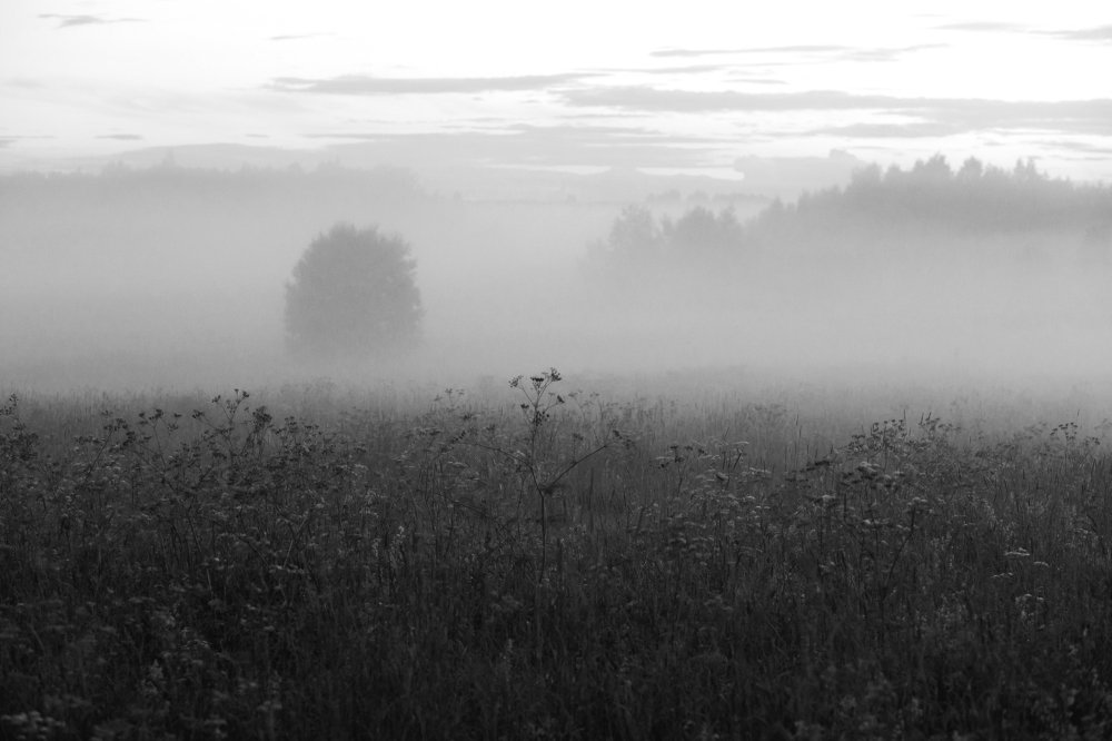 Photograph by Agnaeva Anastasia