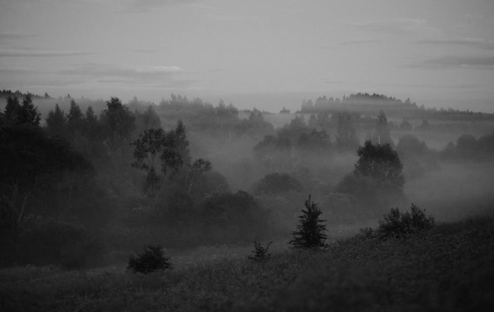 Photograph by Agnaeva Anastasia