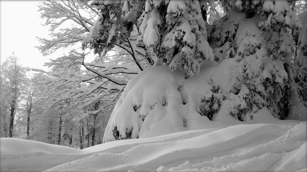 The fresh snow is on the ground