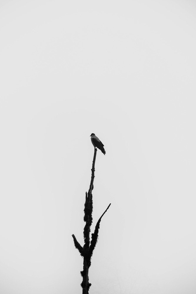 minimall