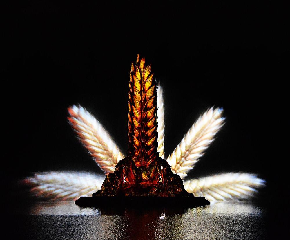 Возрождение ВДНХ