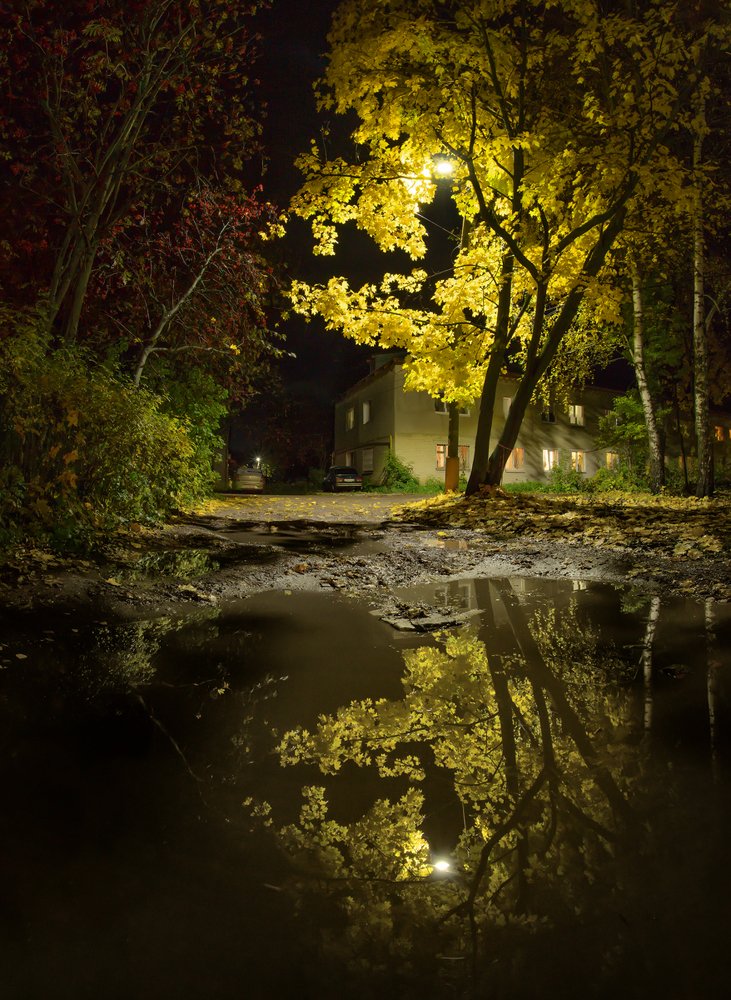 Photograph by Николай Андреев