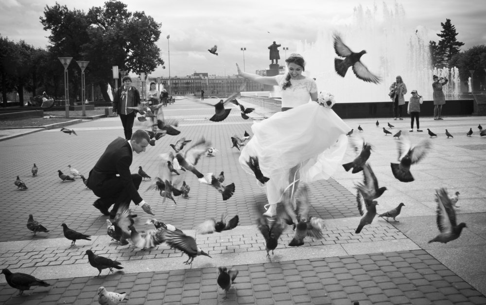 Мы и голуби.