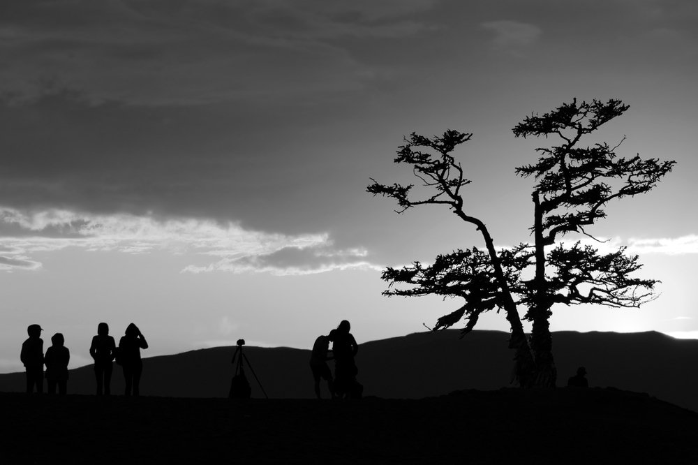 Наблюдатели...