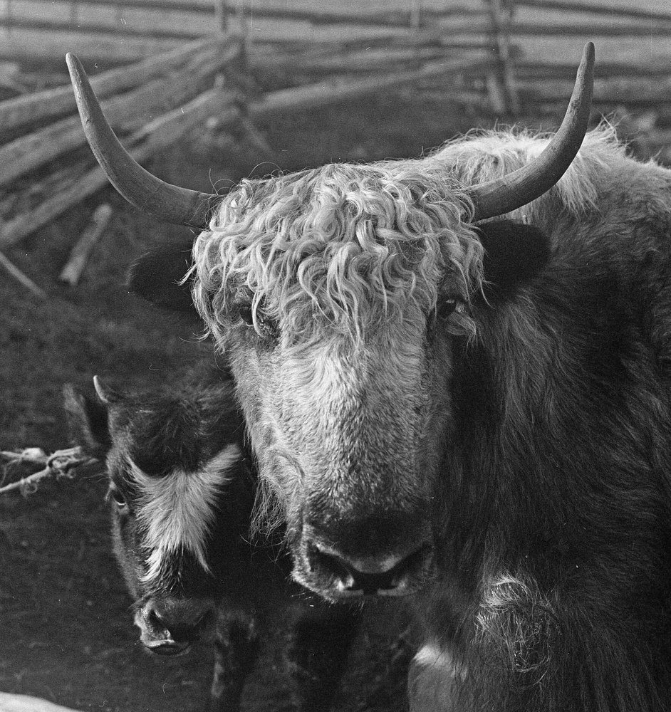 Фотография автора Илья Глобин