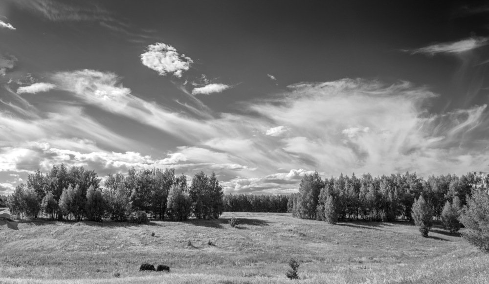 У села Альдермыш