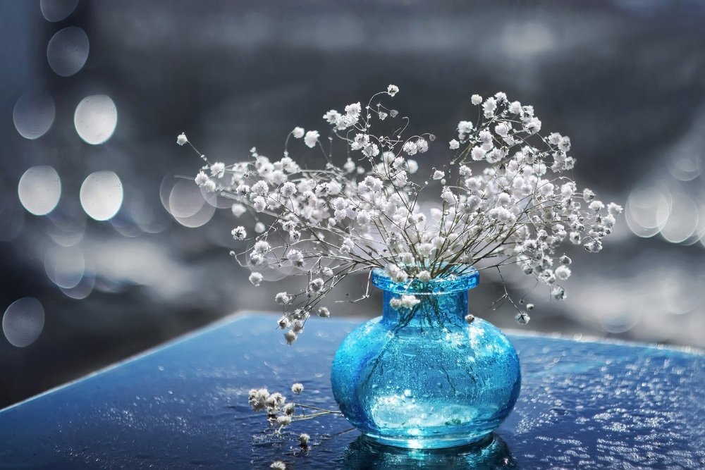 Утренняя прохлада