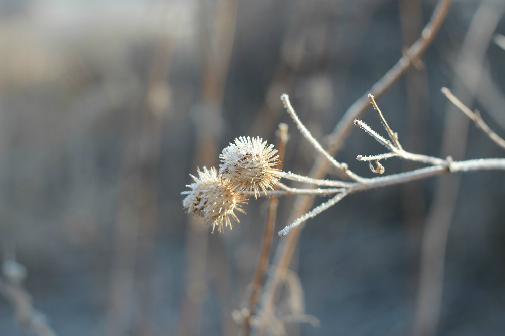 Фотография автора Маргарита Антропова