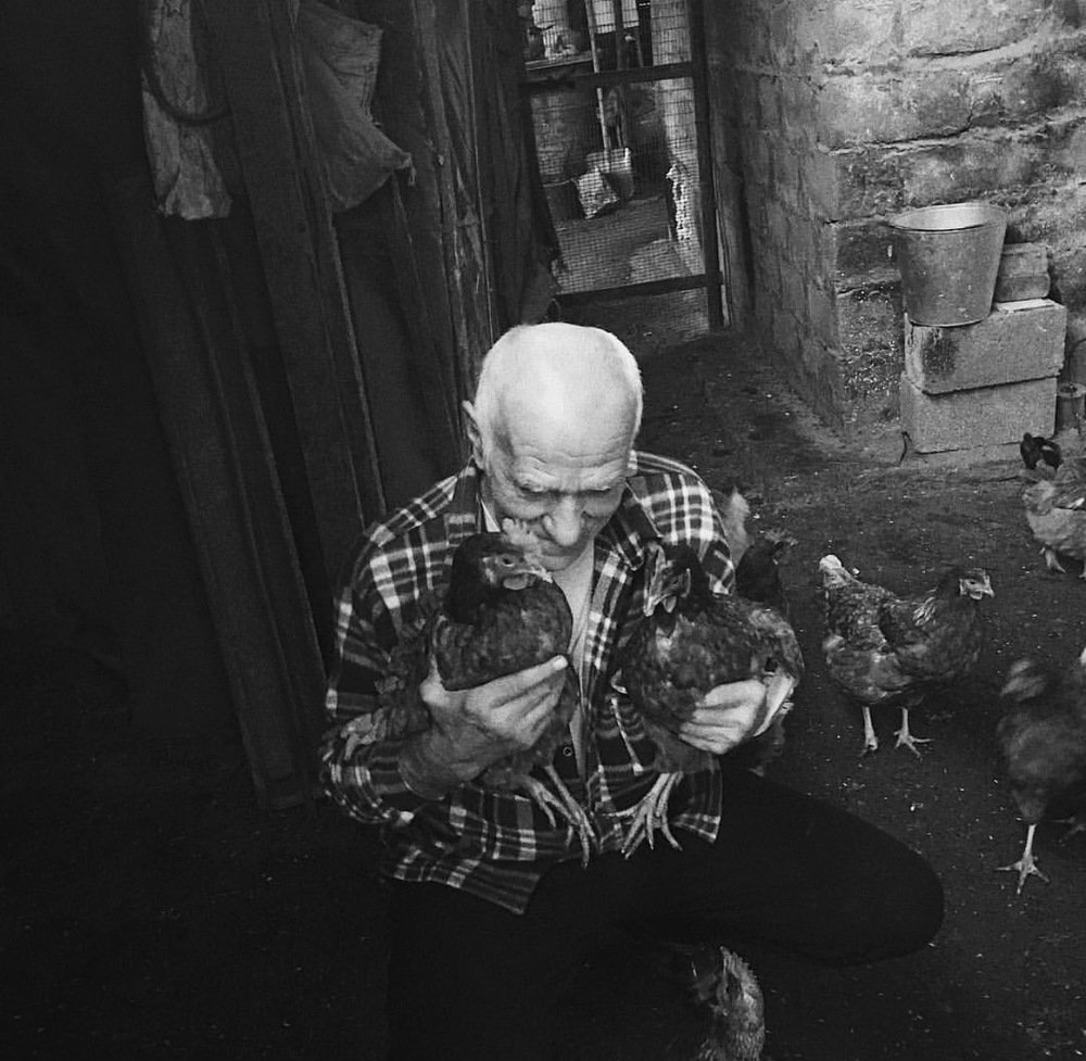 Photograph by Виктория Поднебесная