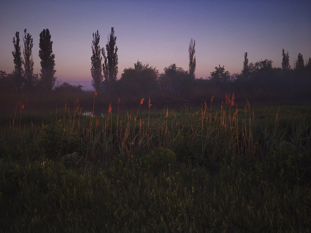 Photograph by Виктория Поднебесная